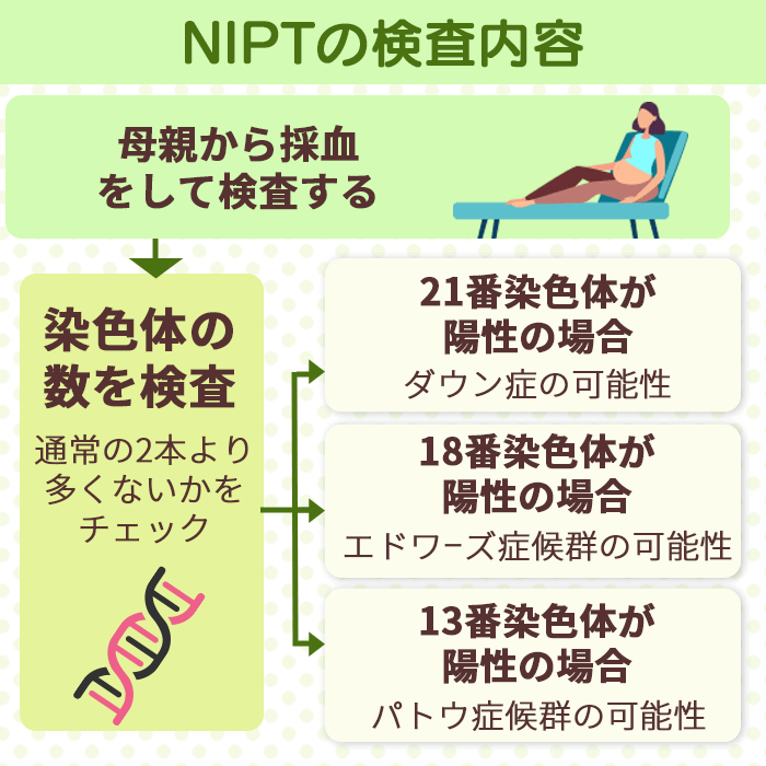 NIPTの検査内容を示す画像